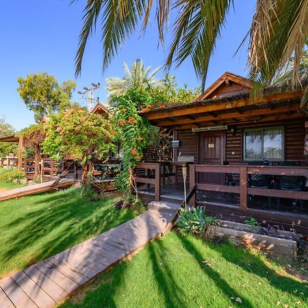Belfer'S Dead Sea Cabins Неот-Акикар Экстерьер фото